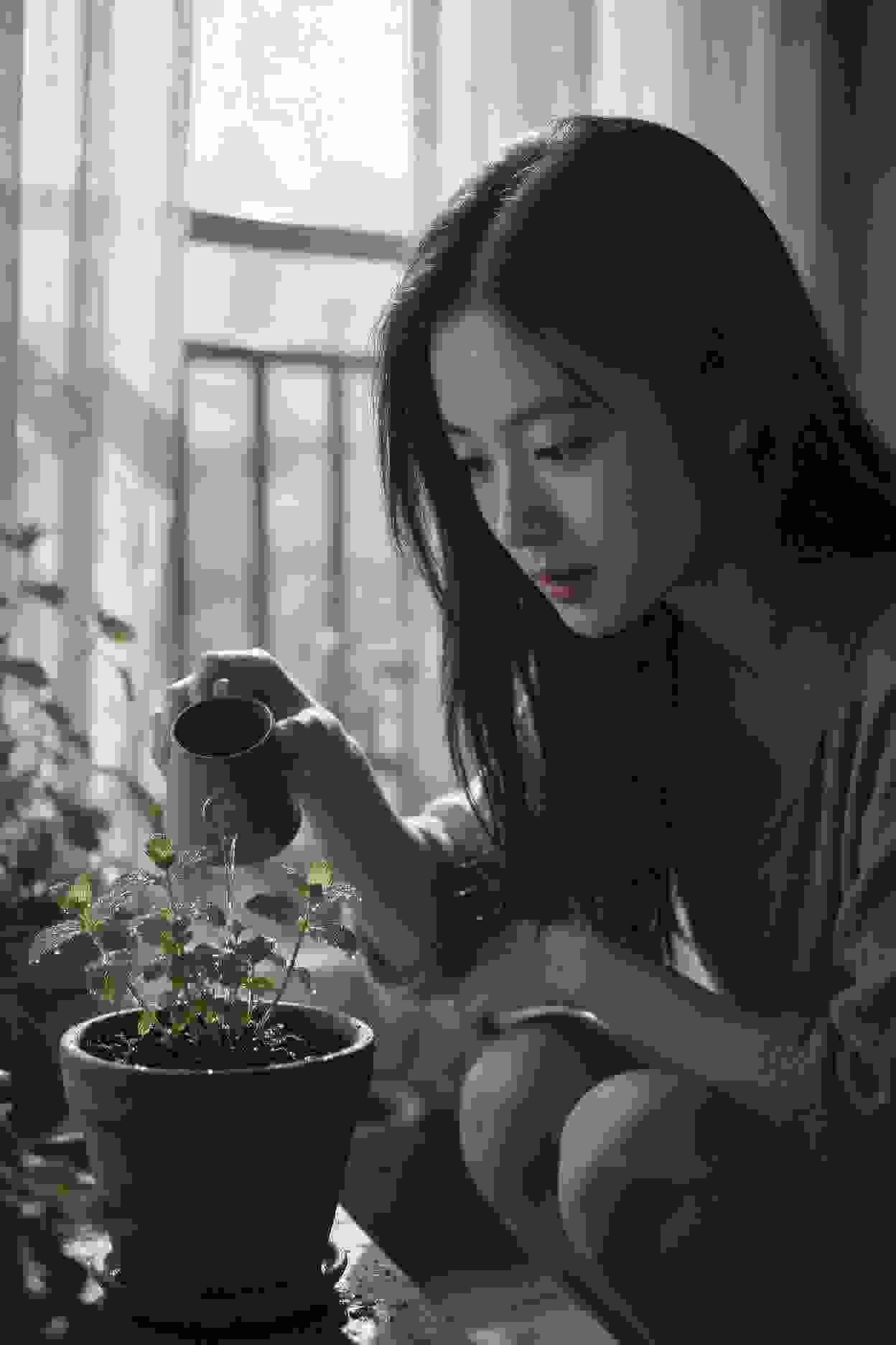 梦幻之城